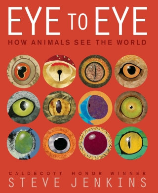 Cover image: Eye to Eye 9780547959078