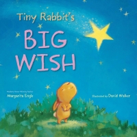 Cover image: Tiny Rabbit's Big Wish 9780547852867