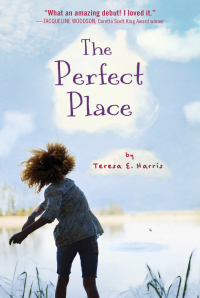 Cover image: The Perfect Place 9781328784186