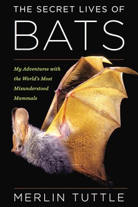 Omslagafbeelding: The Secret Lives of Bats 9780544390430