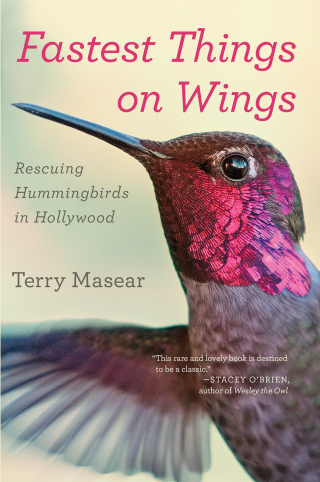 Cover image: Fastest Things on Wings 9780544705371