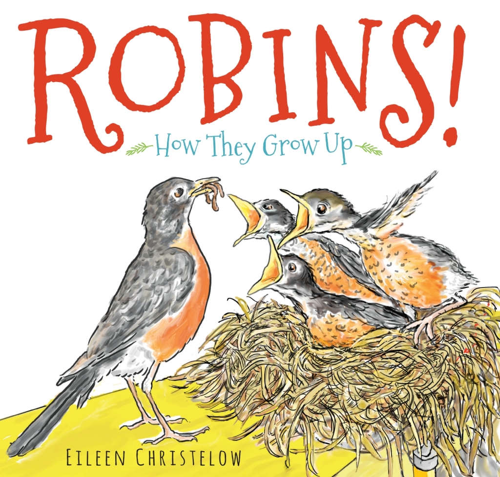 Robins! How They Grow Up