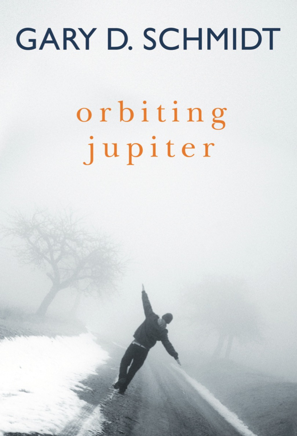 Orbiting Jupiter (eBook)