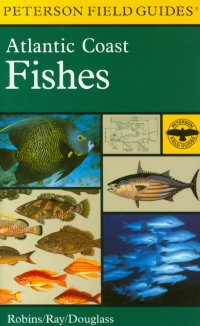 Cover image: A Field Guide To Atlantic Coast Fishes 9780395975152