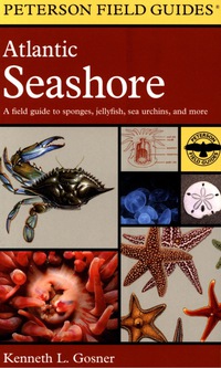 Immagine di copertina: Atlantic Seashore 9780544530850