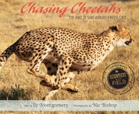 Cover image: Chasing Cheetahs 9781328740892