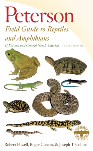Cover image: Peterson Field Guide To Reptiles And Amphibians Eastern & Central North America 4th edition 9780544129979