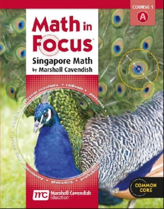 Cover image: Math in Focus: Singapore Math Student Edition Digital Content Volume A Grade 6 2012 9780547559360