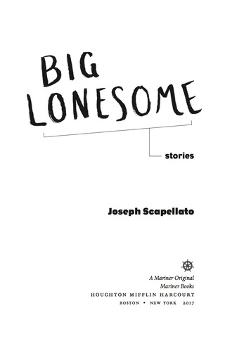 Cover image: Big Lonesome 9780544769809
