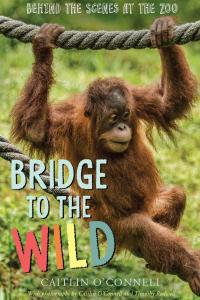Cover image: Bridge to the Wild 9780544277397