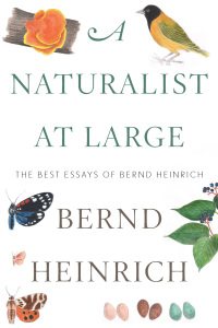 Cover image: A Naturalist at Large 9780544986831