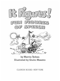 Cover image: It Figures! 9780395665916
