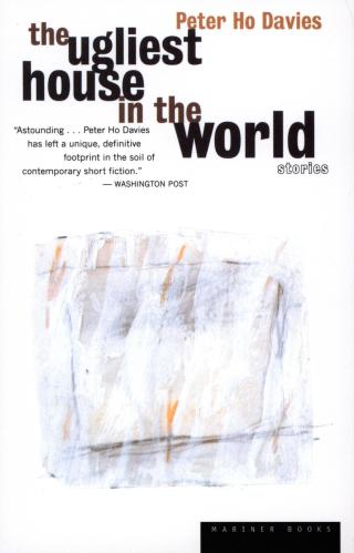 Cover image: The Ugliest House in the World 9780395924808