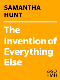 Cover image: The Invention of Everything Else 9780618801121