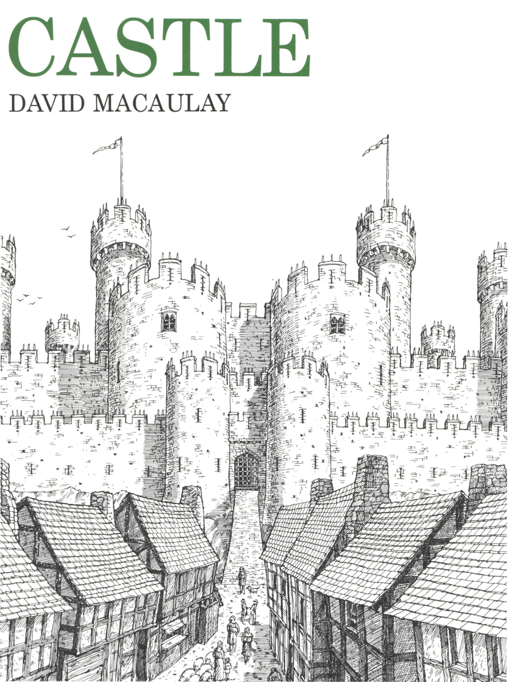 Castle A Caldecott Honor Award Winner