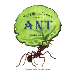 Cover image: The Life and Times of the Ant 9780618005598