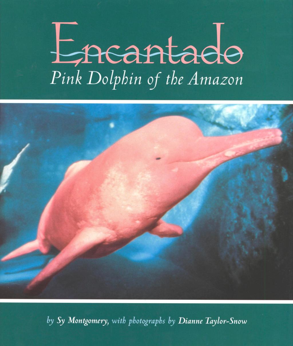 Encantado Pink Dolphin of the Amazon