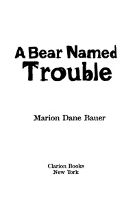 Cover image: A Bear Named Trouble 9780547350011