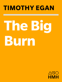 Cover image: The Big Burn 9780547394602