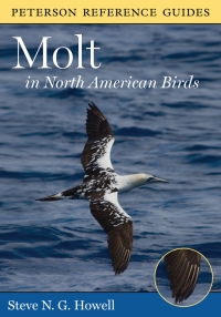 Cover image: Peterson Reference Guide To Molt In North American Birds 9780547152356