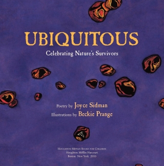 Cover image: Ubiquitous 9780618717194