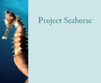 Cover image: Project Seahorse 9780547207131