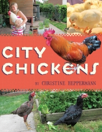Cover image: City Chickens 9780544455931