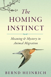 Cover image: The Homing Instinct 9780544484016
