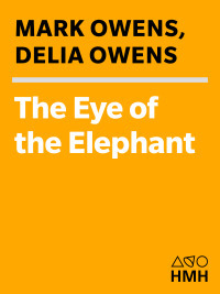 Omslagafbeelding: The Eye of the Elephant 9780547524665