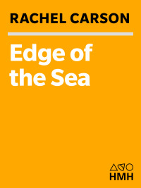 Imagen de portada: The Edge of the Sea 9780395924969