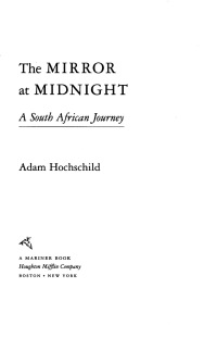 Immagine di copertina: The Mirror at Midnight 9780618758258