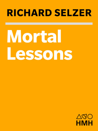 Imagen de portada: Mortal Lessons 9780156004008