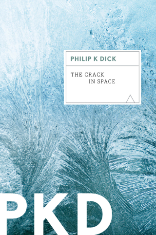 Cover image: The Crack in Space 9780547572994