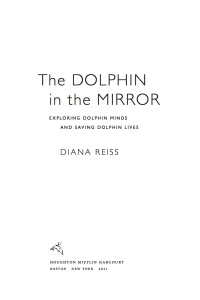 Cover image: The Dolphin in the Mirror 9780547844619