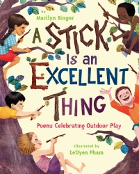 Cover image: A Stick Is an Excellent Thing 9780547124933