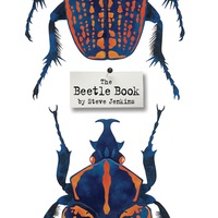 Cover image: The Beetle Book 9780547680842