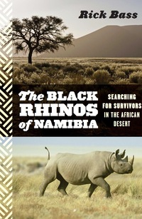 Cover image: The Black Rhinos Of Namibia 9780544002333