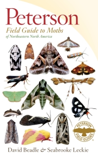 Cover image: Peterson Field Guide To Moths Of Northeastern North America 9780547238487