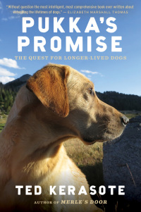 Cover image: Pukka's Promise 9780544102538