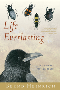 Cover image: Life Everlasting 9780544002265