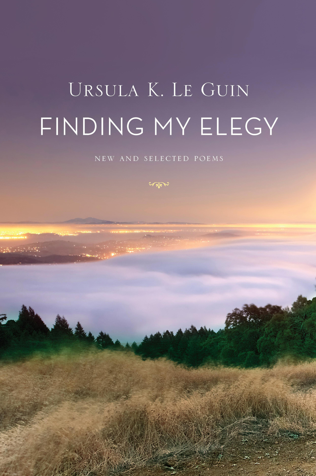 Finding My Elegy New and Selected Poems