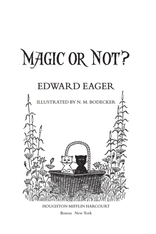 Cover image: Magic or Not? 9780544671683