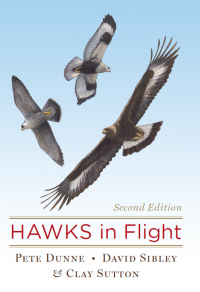 Cover image: Hawks In Flight 2nd edition 9780395709597