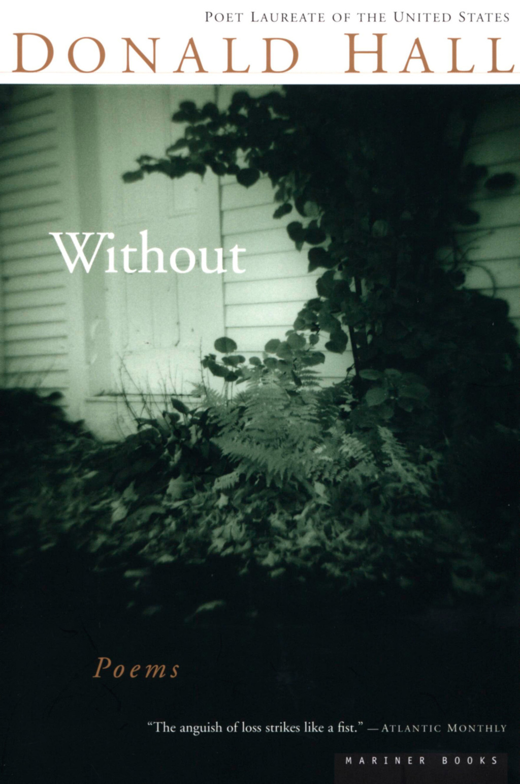 Without (eBook)