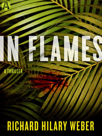 Cover image: In Flames