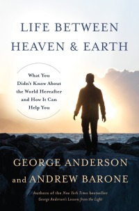 Cover image: Life Between Heaven and Earth 9780553419498