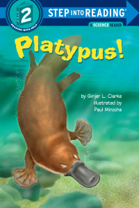 Cover image: Platypus! 9780375824173