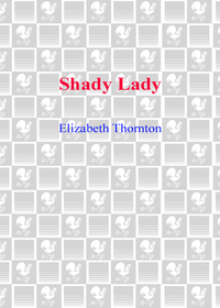 Cover image: Shady Lady 9780553584905