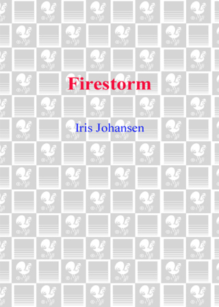 Cover image: Firestorm 9780553803402