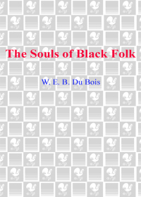 Cover image: The Souls of Black Folk 9780553213362